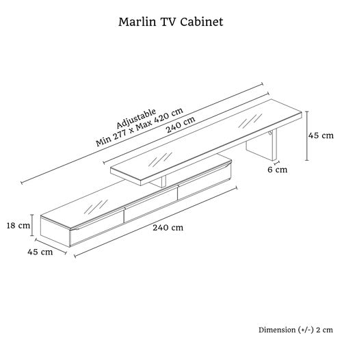 SOUTHERN STYLERS VIDSIE ENTERTAINMENT UNIT