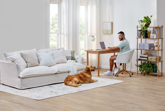 SOFTY PREMIUM SLIPCOVER SOFA