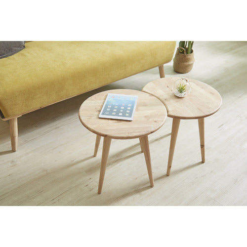 MAJA ANSEL DESIGN 2 PIECE ANT COFFEE TABLE SET