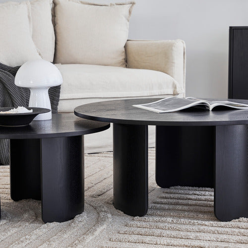 MADDISON LANE 2 PIECE SENECA OLMO COFFEE TABLE SET