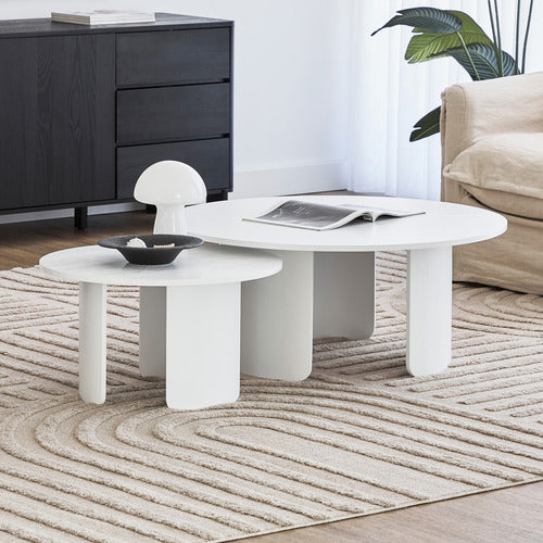 MADDISON LANE 2 PIECE SENECA OLMO COFFEE TABLE SET
