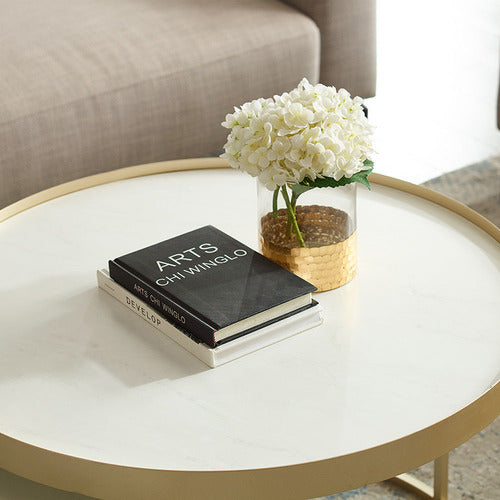 MONUMENT FURNITURE 2 PIECE GAIA NESTING COFFEE TABLE SET