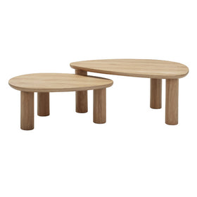 2 PIECE NOLAN NESTING COFFEE TABLE SET