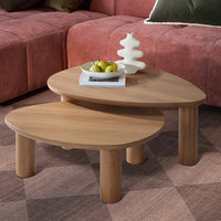 2 PIECE NOLAN NESTING COFFEE TABLE SET
