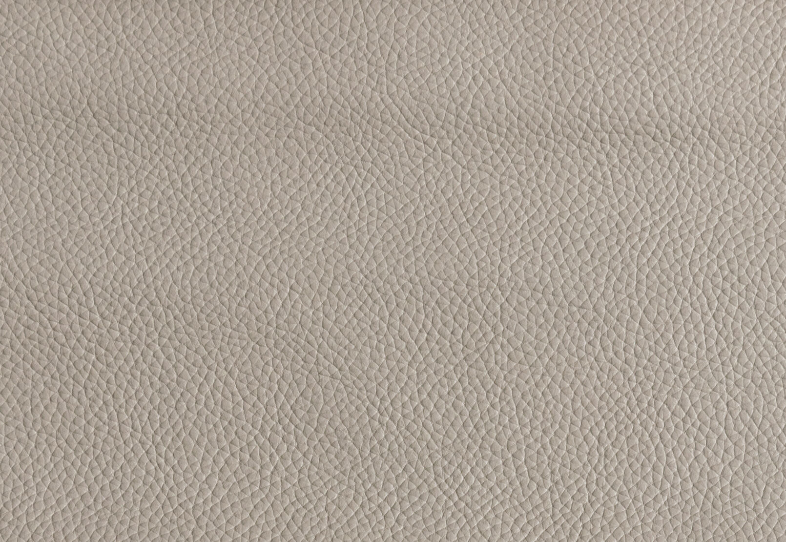 CANDACE LEATHER 2 SEATER SOFA 	LIGHT GREY