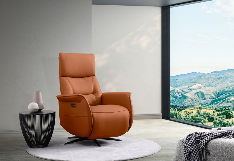 LENNY LEATHER SWIVEL DELUXE ELECTRIC RECLINER TAN