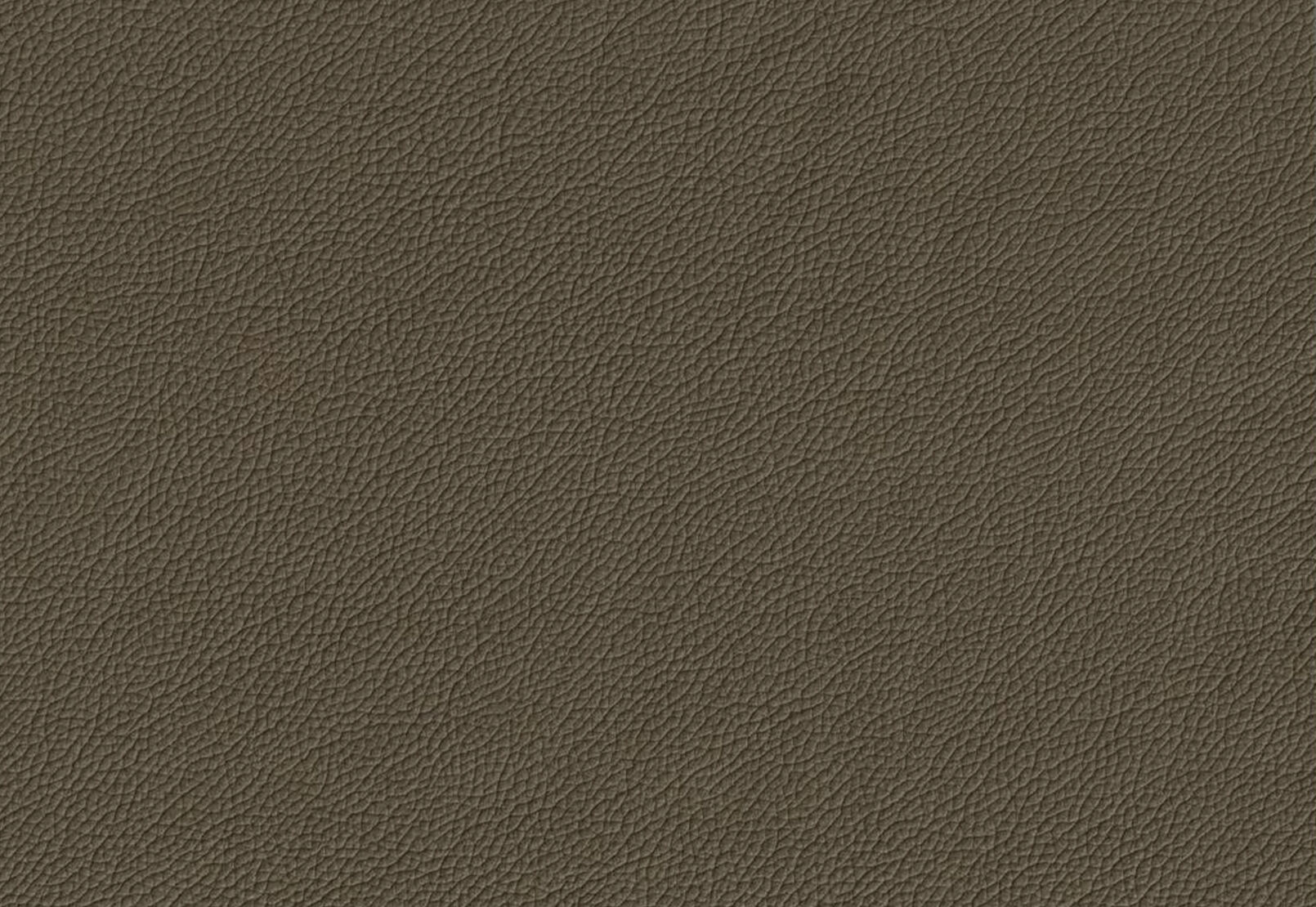 CARNABY LEATHER 2 SEATER SOFA 	OLIVE GREEN