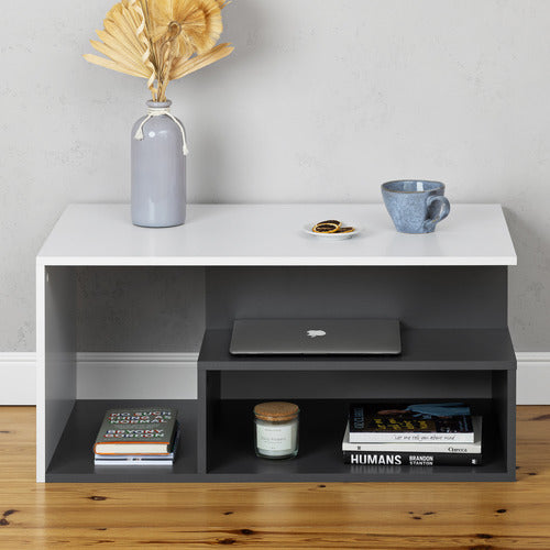 CAPEVIEW INTERIORS FARGO COFFEE TABLE