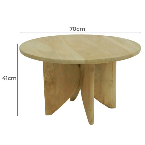 ARTISAN & CO IMANI MANGO WOOD COFFEE TABLE