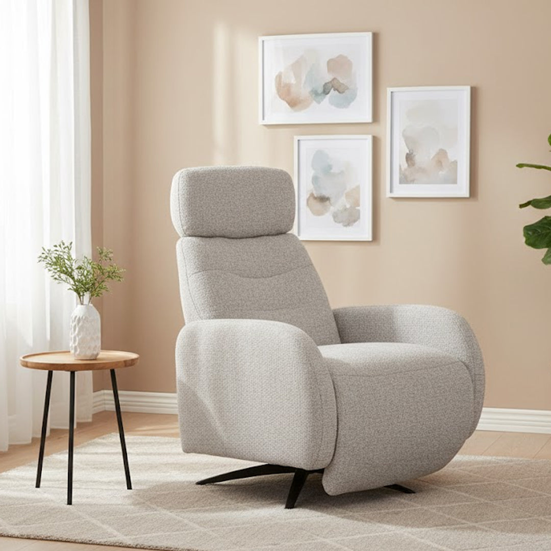 RAITT FABRIC SWIVEL MANUAL RECLINER IRON
