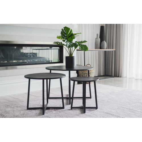 HOME & LIFESTYLE 3 PIECE RIO MANGO NESTING COFFEE TABLE SET
