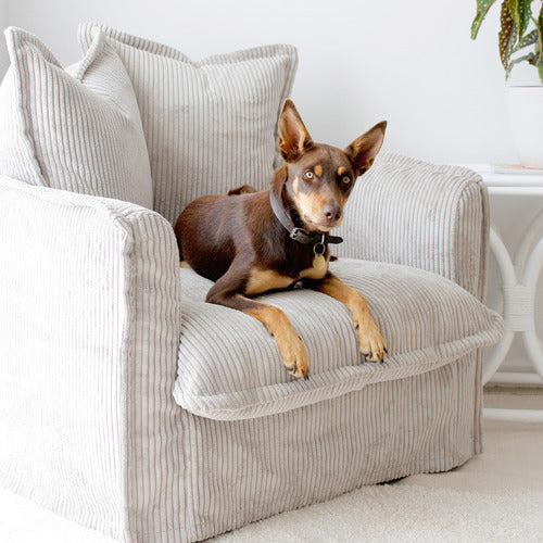 HYDE PARK HOME CUMULUS CORDUROY SLIPCOVER ARMCHAIR