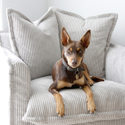 HYDE PARK HOME CUMULUS CORDUROY SLIPCOVER ARMCHAIR