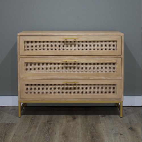 CARRINGTON FURNITURE HENDRY 3 DRAWER CHEST